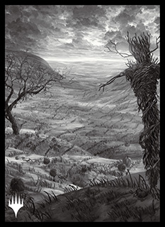 プレイヤーズカードスリーブ『イニストラード：真夜中の狩り』「永遠の夜」版《平地》(A)MTGS-184